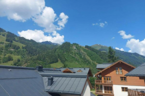 Claudia 5 by SMR Rauris Apartments - close to Spa and Gondola